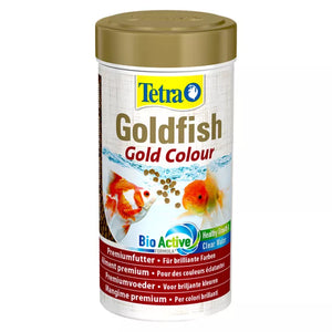 Tetra Goldfish-Gold Colour